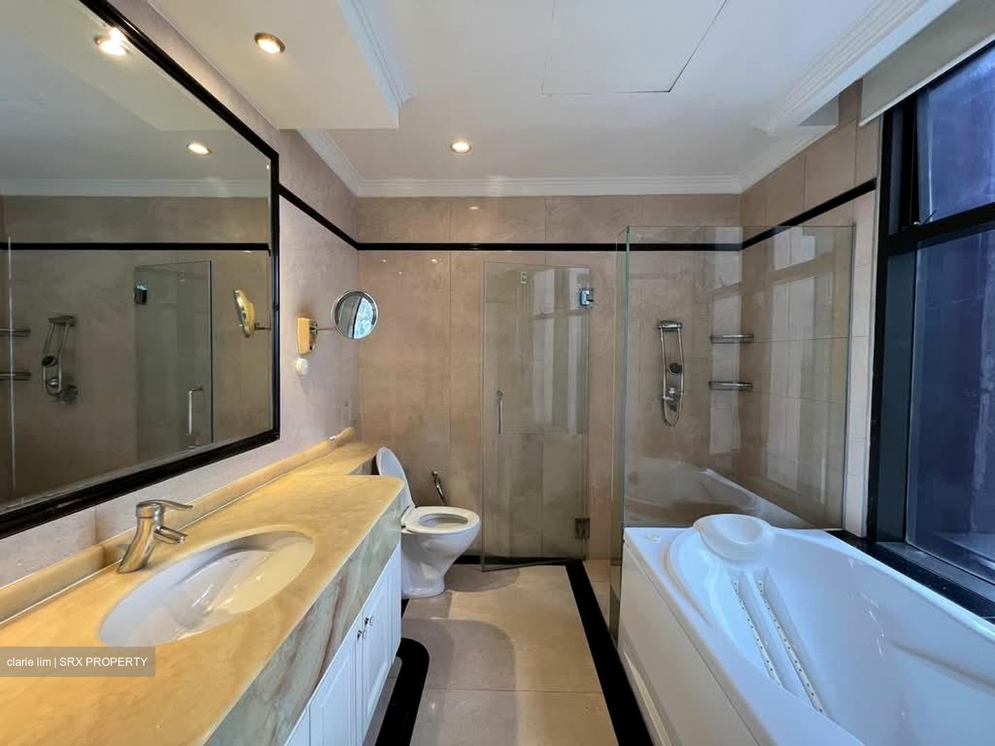 Four Seasons Park (D10), Condominium #559136051